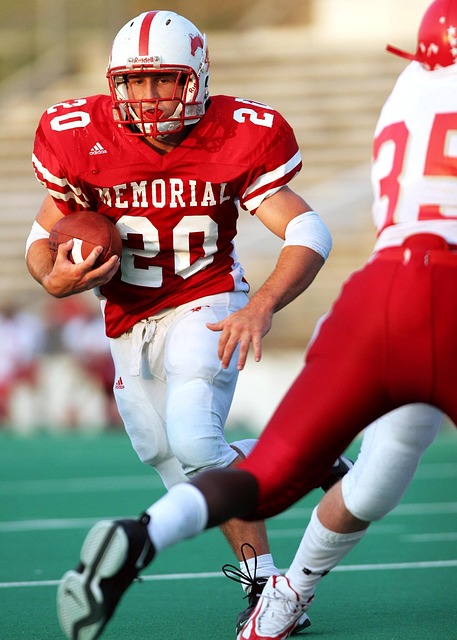 庭和其他地 庭和其他地